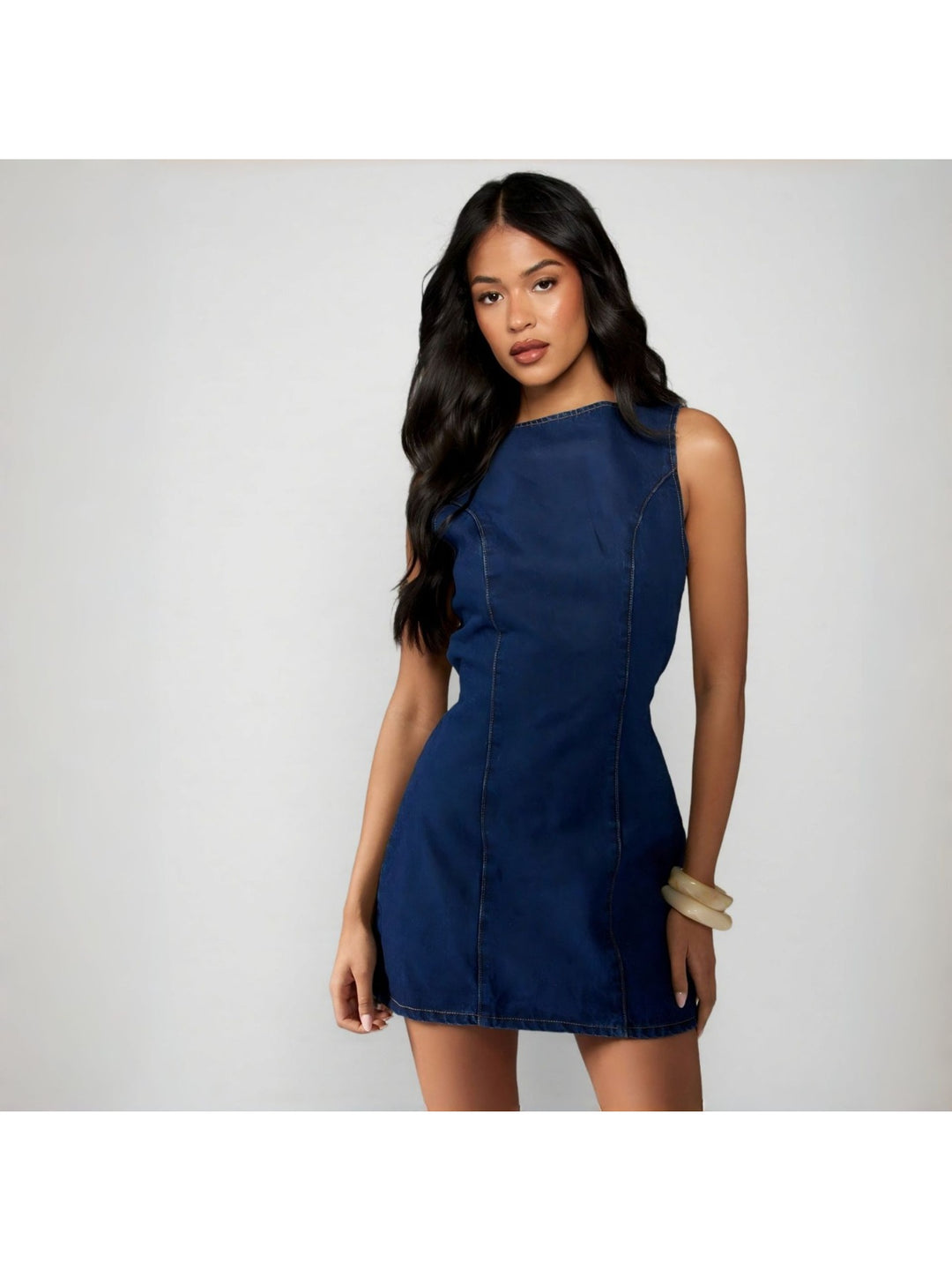 The Vintage Denim Dress