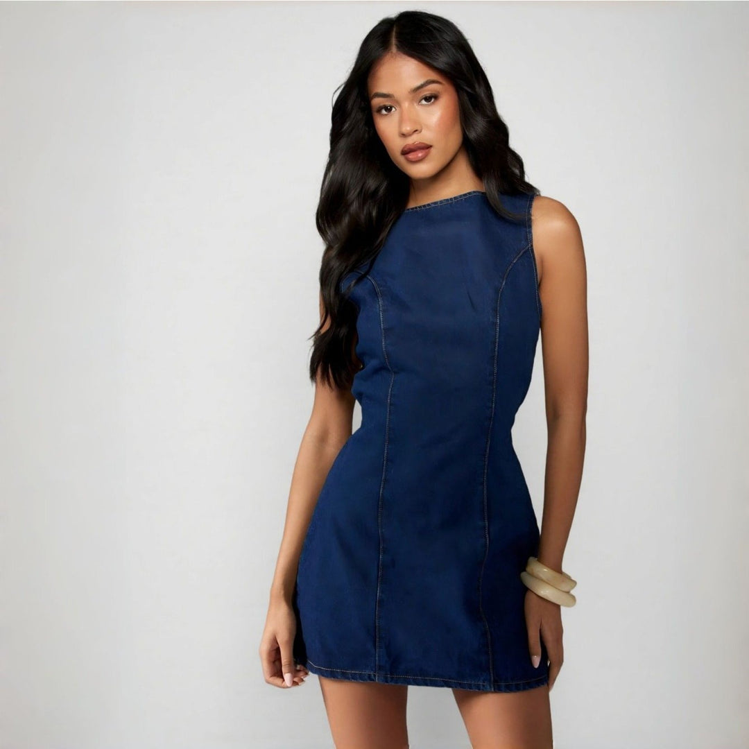 The Vintage Denim Dress